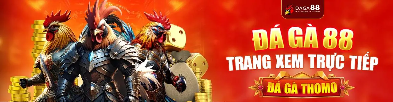 Sân đấu đá gà kịch tính trên wwin app